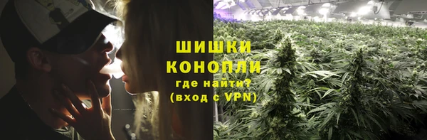 ГАЛЛЮЦИНОГЕННЫЕ ГРИБЫ Волосово