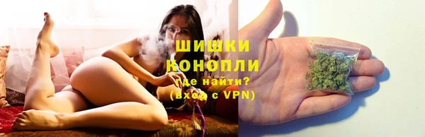 ГАЛЛЮЦИНОГЕННЫЕ ГРИБЫ Волосово