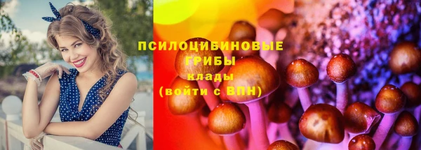 ГАЛЛЮЦИНОГЕННЫЕ ГРИБЫ Волосово