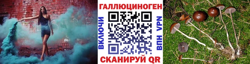 Галлюциногенные грибы Psilocybe  Купить где  Теберда 