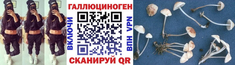 Псилоцибиновые грибы Psilocybe Теберда